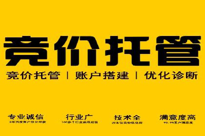 百度联盟推广网络覆盖的案例研究